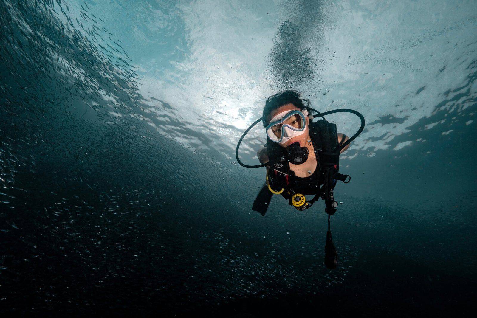 Diver looking into the camera with the sardine shoal behind