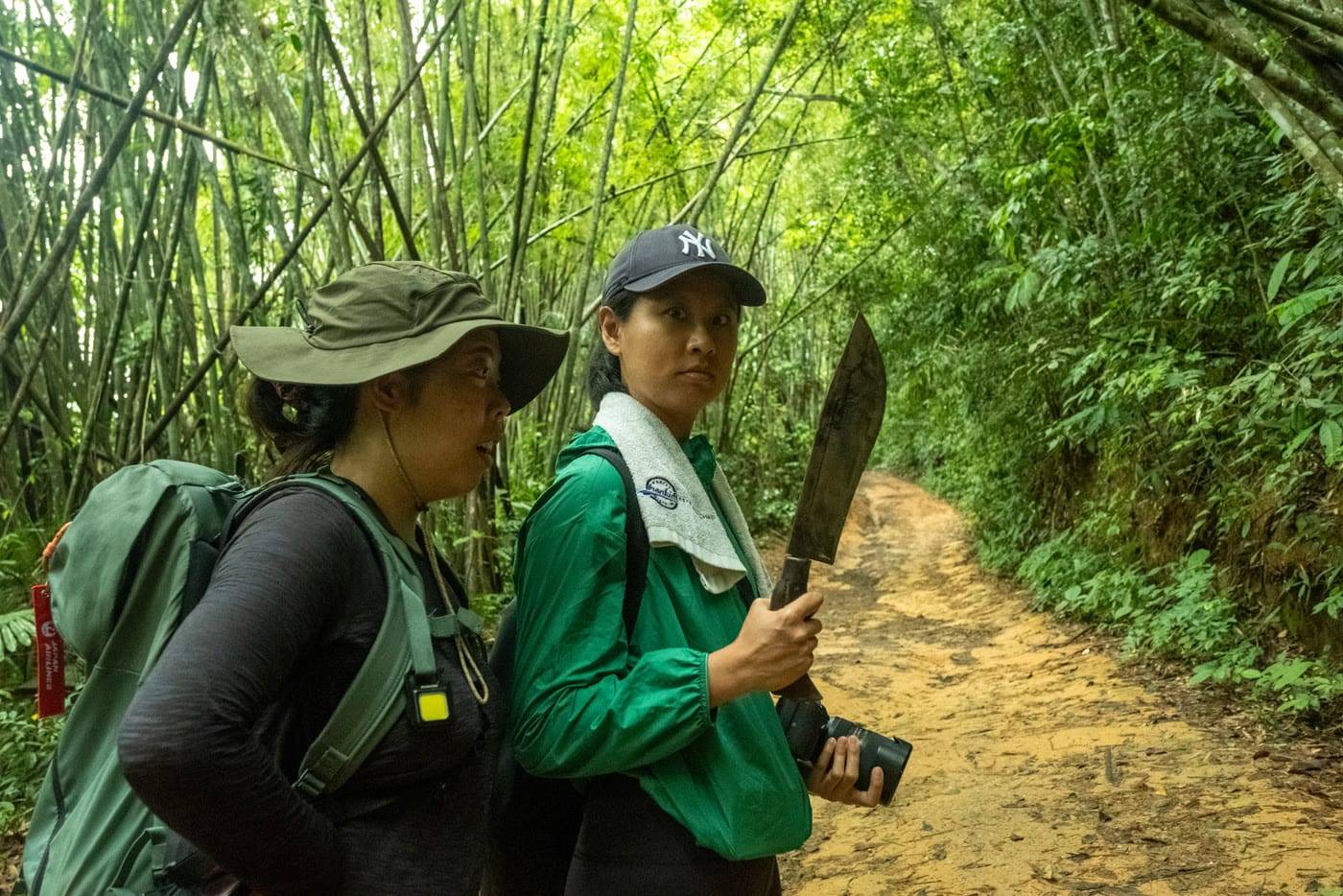 Jungle guide with a machete cutting through bamboo on the way to camp