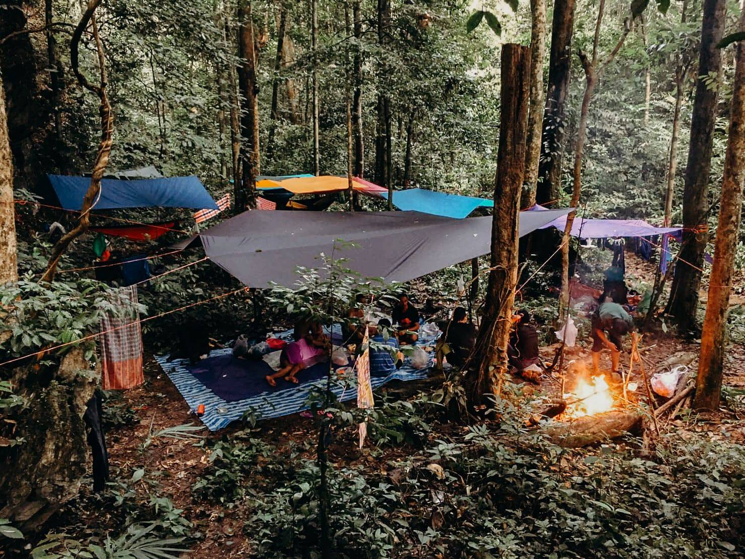 Camp with hammocks and tarps around a fire in the rainforest of Khao Sok