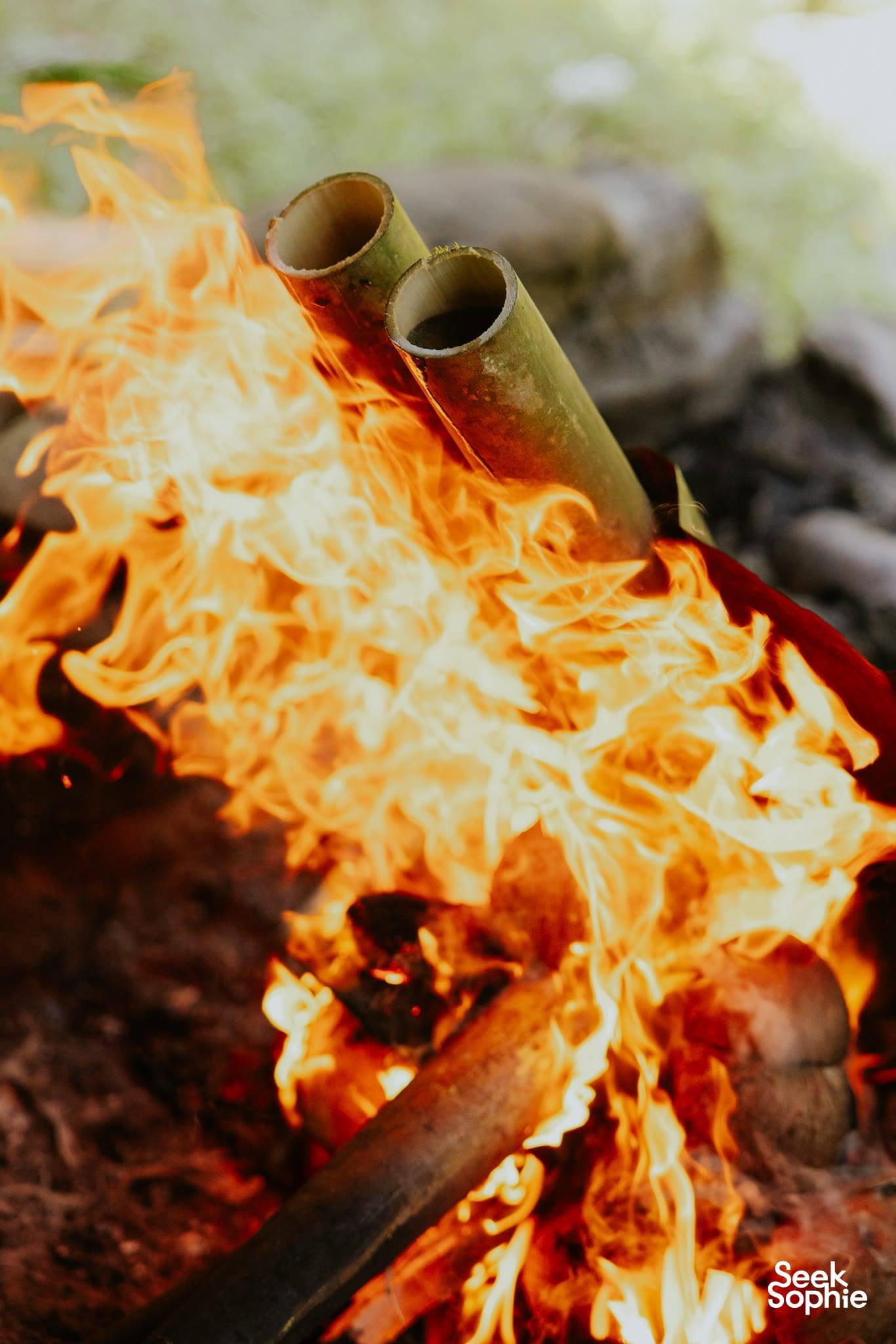 Flames around the bamboo tubes the food is cooking inside