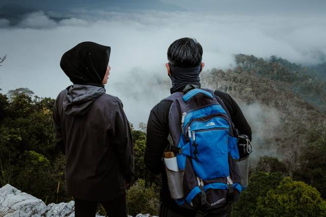 Things to do in Taman Negara: the highlights you should not miss