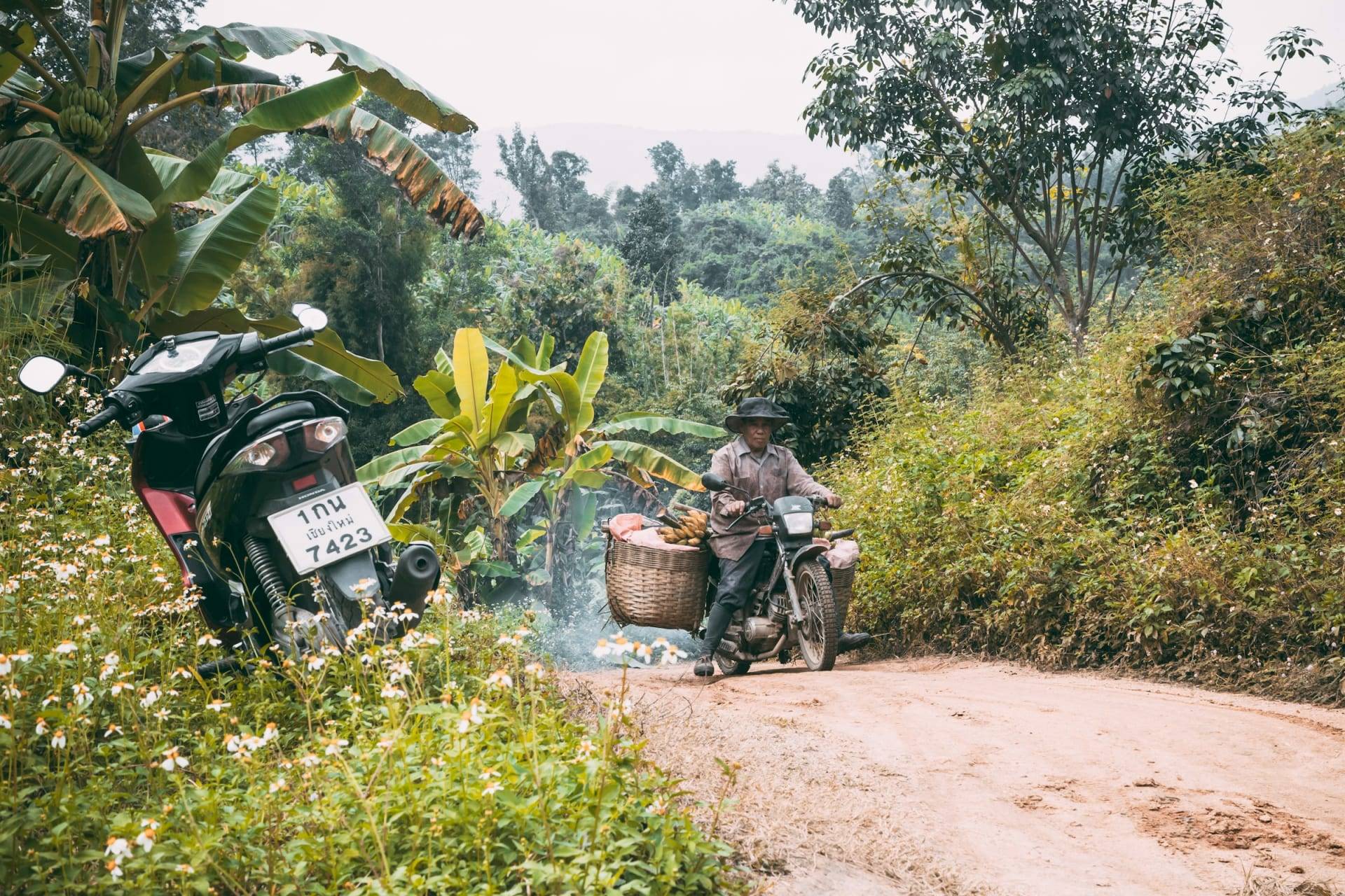 Motorcyclist on a forest road