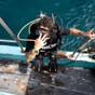 Below Zero diver stepping off the boat into the water