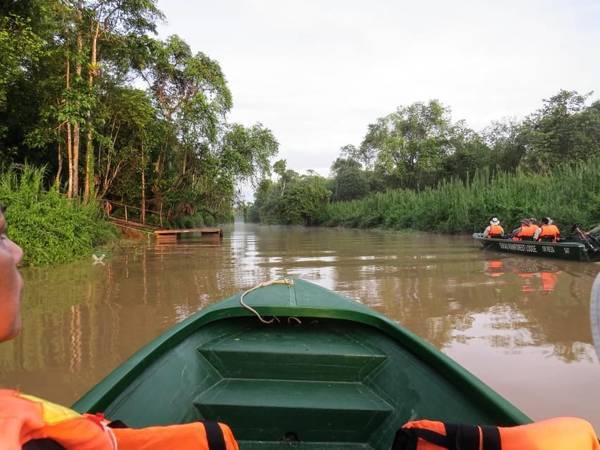 Sandakan: 3 days on the Kinabatangan, the wild heart of Borneo