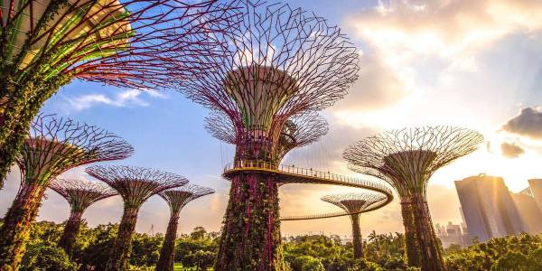 Singapore: Gardens by the Bay entry ticket