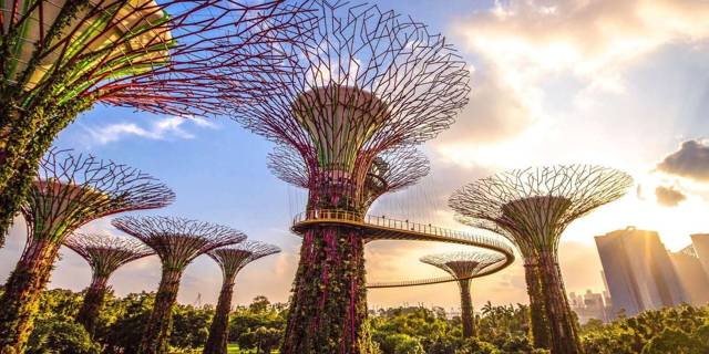 Singapore: Gardens by the Bay entry ticket