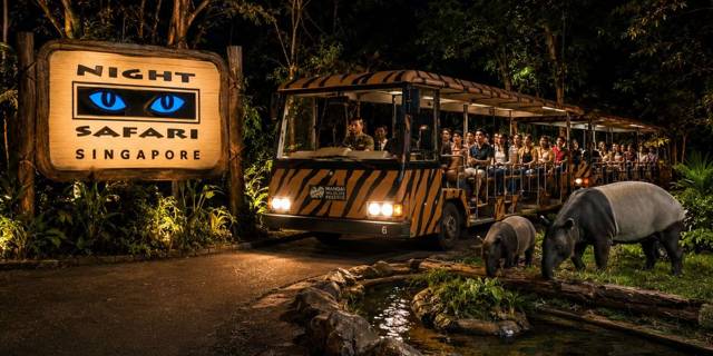Singapore: Night Safari with tram ride and hotel transfer