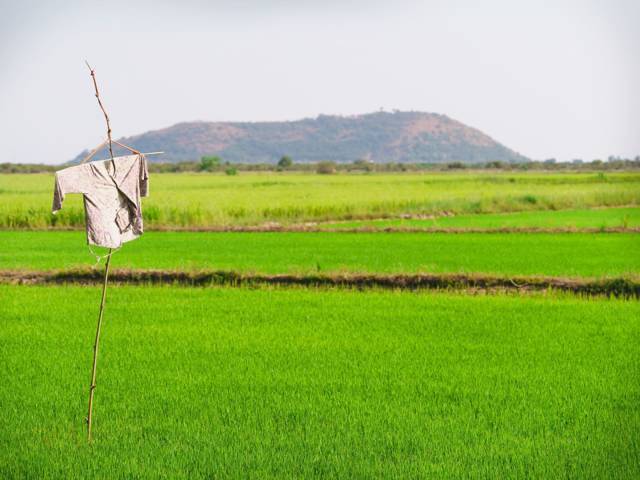 Best time to visit Cambodia: temples, heat and green rice fields