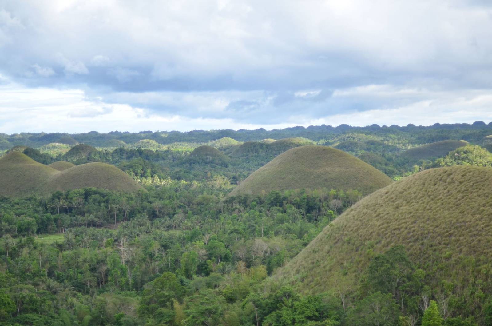 Things to do on Bohol: the highlights you should not miss