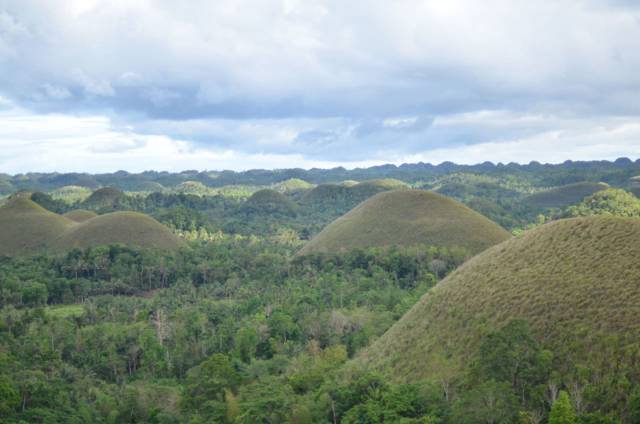 Things to do on Bohol: the highlights you should not miss