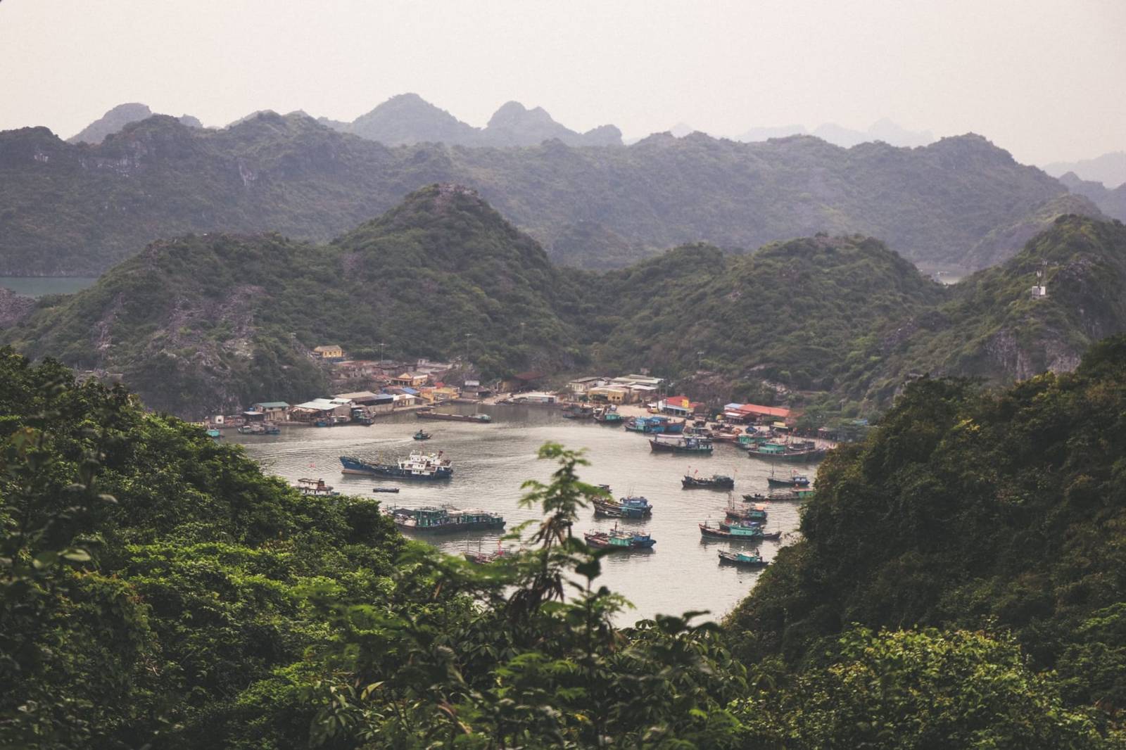 Things to do on Cat Ba: the highlights you should not miss