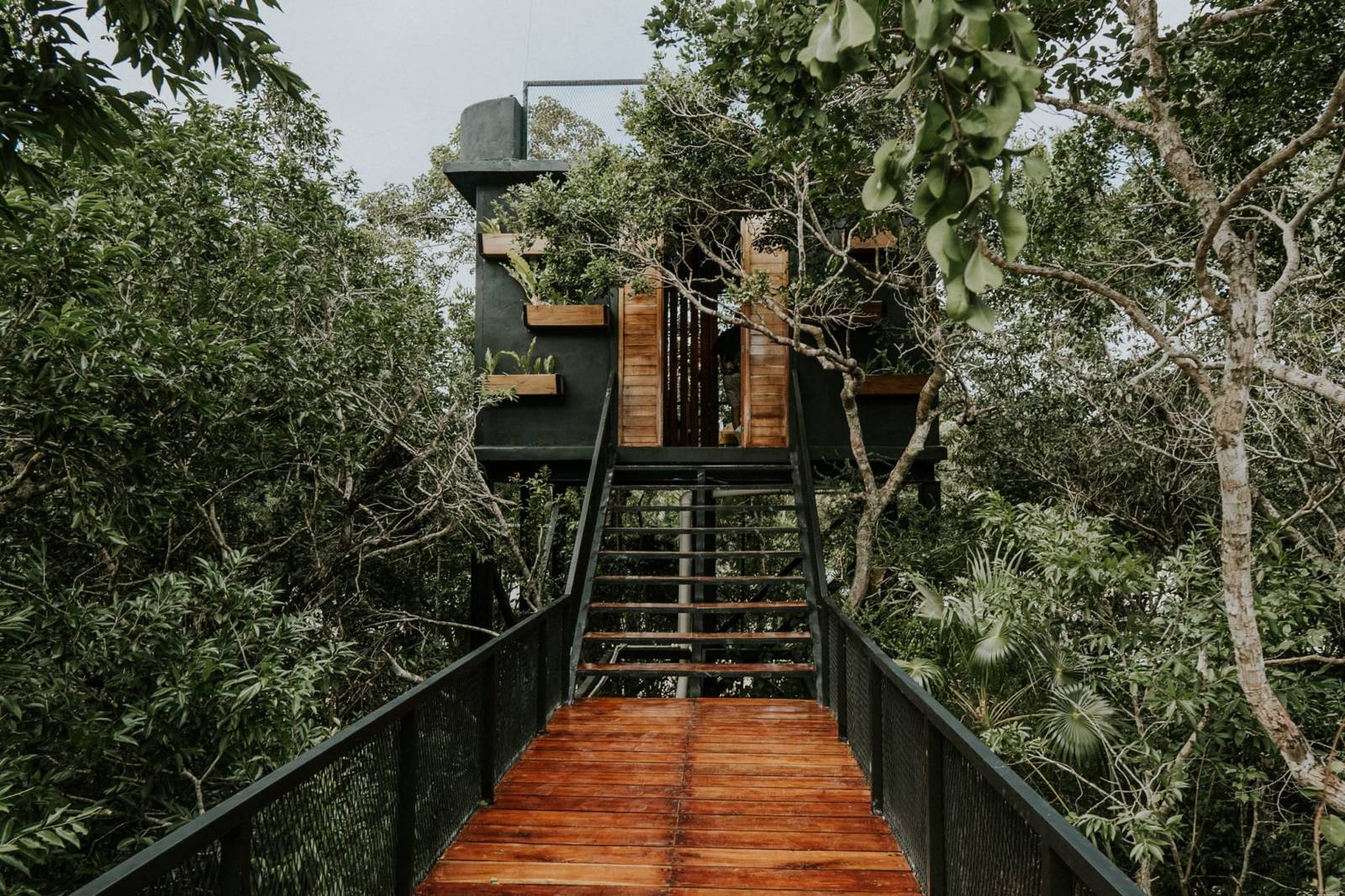 Sleeping in a treehouse, flying through the jungle: the Gibbon Experience