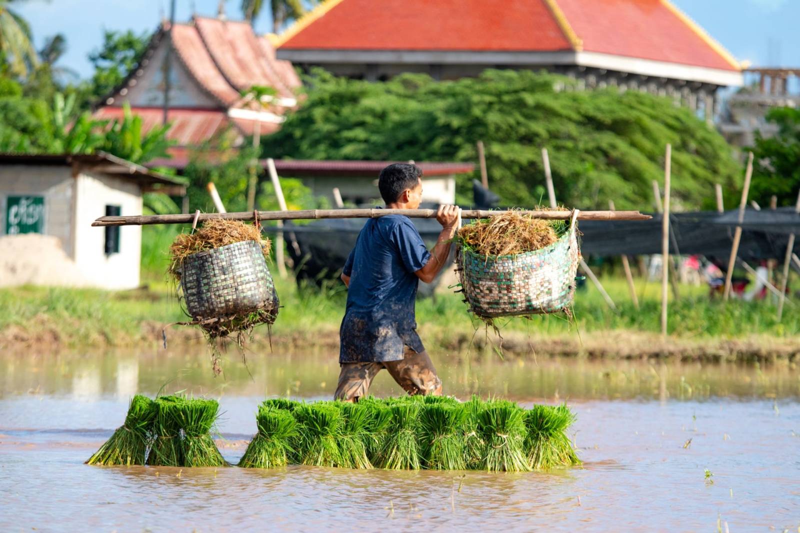 Food in Laos: the dishes and drinks you have to try