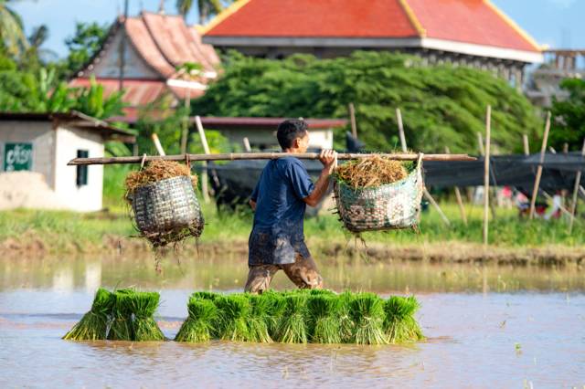 Food in Laos: the dishes and drinks you have to try