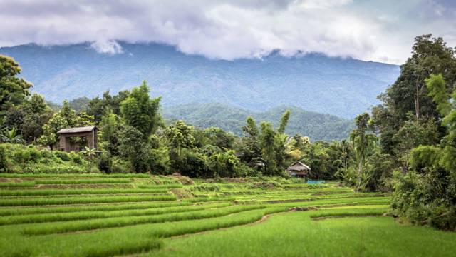 Things to do in Pai: the highlights you should not miss