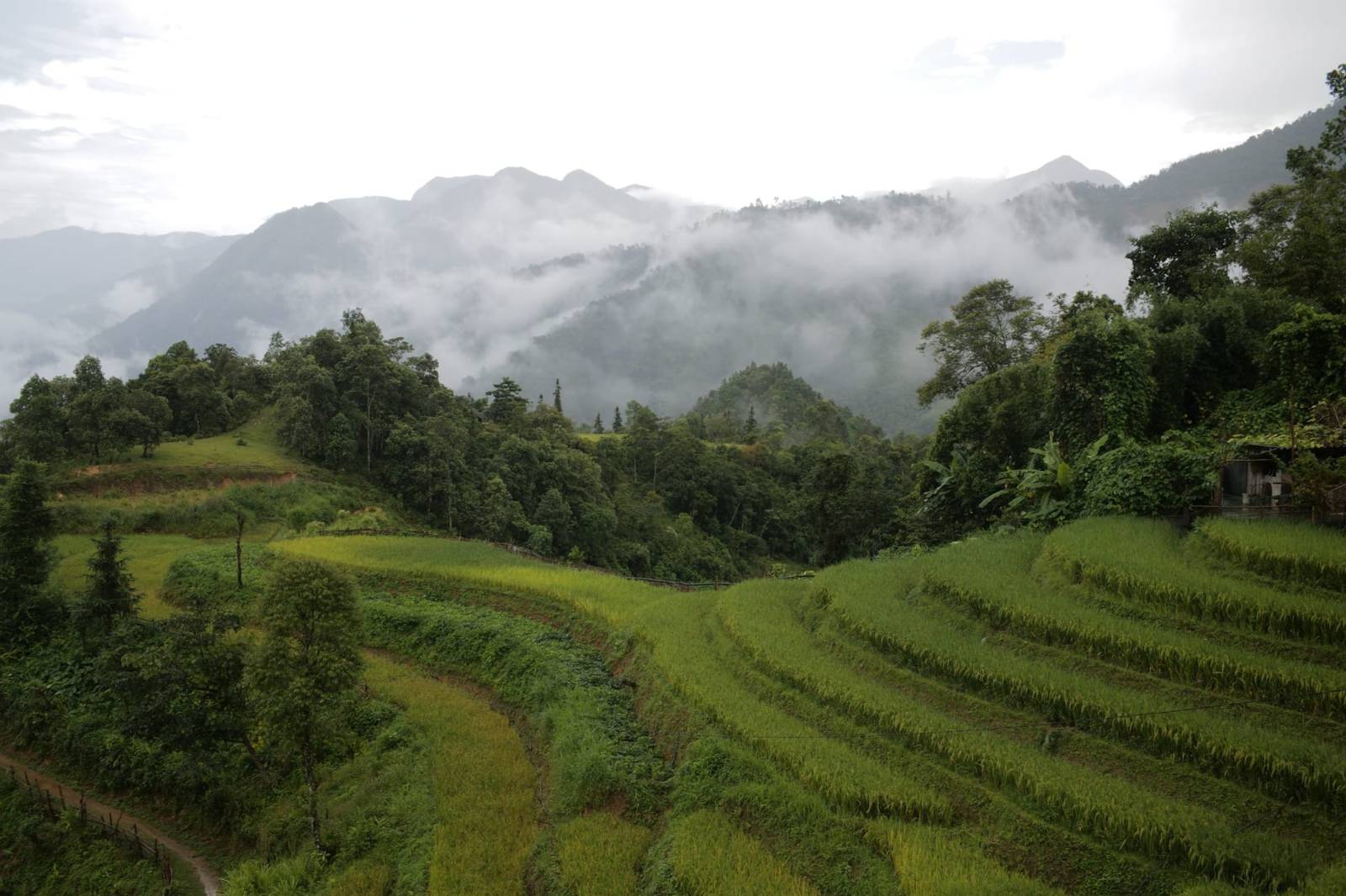 Things to do in Sapa: the highlights you should not miss