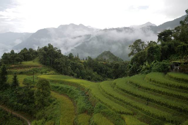 Things to do in Sapa: the highlights you should not miss