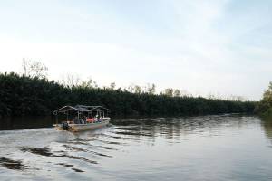 The Kinabatangan River on Borneo