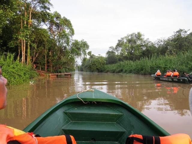 Sandakan: 3 days on the Kinabatangan, the wild heart of Borneo