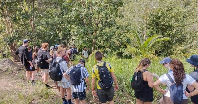 Koh Phangan: hidden jungle trek and waterfall adventure