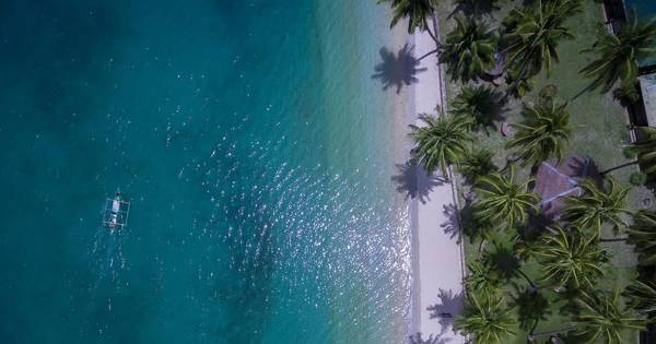 Port Barton: island hopping to Turtle Spot and the reef with lunch