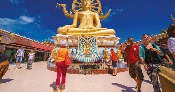 Koh Samui: half day highlights tour with elephant feeding option