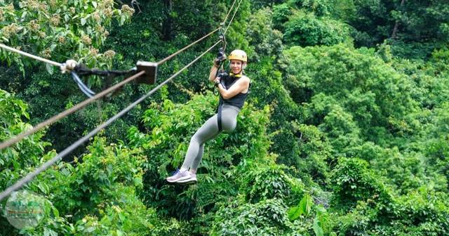 Koh Samui: Tree Bridge zipline and café experience