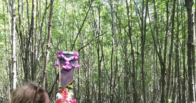 Koh Lanta: half day mangrove boat trip with lunch