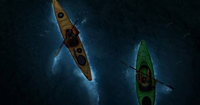 Cat Ba: sunset and evening kayak tour with bioluminescent plankton