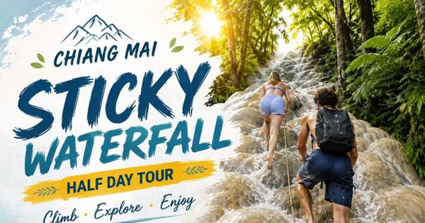 Chiang Mai: Sticky Waterfalls half day trip with hotel transfer