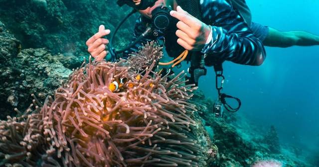 From Phi Phi: PADI Discover Scuba day trip with two dives