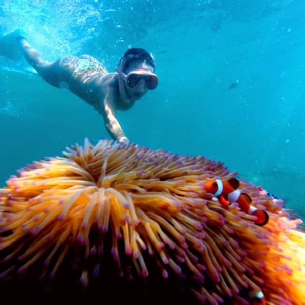 Tunku Abdul Rahman: snorkelling at Sapi and Manukan with lunch