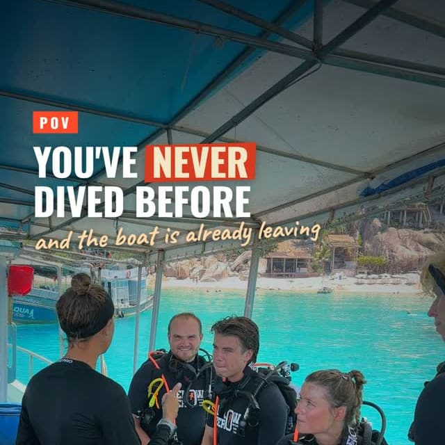 POV: you learn to dive on Koh Tao 🤿